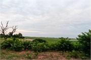 005-Chobe_1stDrive