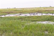 013-Chobe_1stDrive