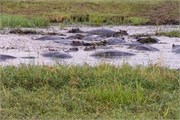 014-Chobe_1stDrive