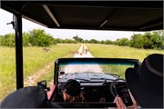 032-Chobe_1stDrive