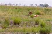 037-Chobe_1stDrive