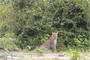 004-Chobe2ndDrive