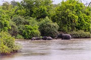 011-Chobe2ndDrive