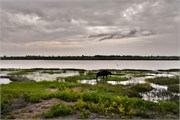 018-Chobe2ndDrive