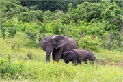 029-Chobe2ndDrive