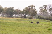 050-To-OkavangoDelta