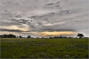 021-Okavango-1stDrive