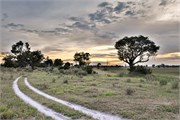 029-Okavango-1stDrive