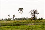 054-To-OkavangoDelta
