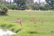 062-To-OkavangoDelta