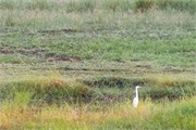 001-Okavango-2ndDrive