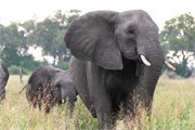 018-Okavango-2ndDrive