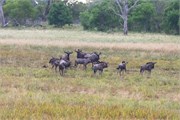 023-Okavango-2ndDrive