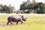 037-Okavango-2ndDrive