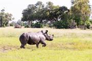 039-Okavango-2ndDrive