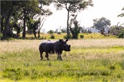 040-Okavango-2ndDrive