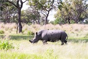 047-Okavango-2ndDrive