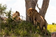 054-Okavango-2ndDrive