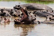 067-Okavango-2ndDrive