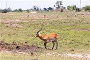 074-Okavango-2ndDrive