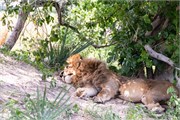 075-Okavango-2ndDrive