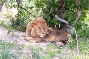 076-Okavango-2ndDrive