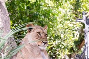 078-Okavango-2ndDrive