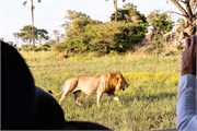 018-OkavangoDelta4