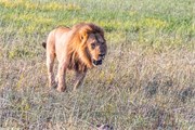 019-OkavangoDelta4
