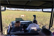 025-OkavangoDelta4