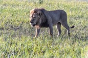 026-OkavangoDelta4