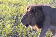 027-OkavangoDelta4