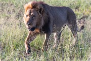 028-OkavangoDelta4
