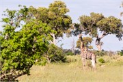 033-OkavangoDelta4