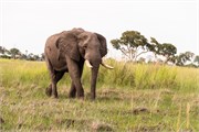048-OkavangoDelta4