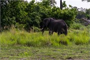 054-OkavangoDelta4