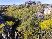 008-TableMountain-City