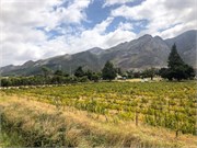 011-Franschhoek-Wine