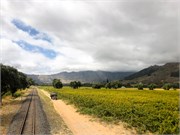 012-Franschhoek-Wine