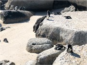 013-CapePointDrive