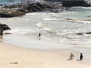 016-CapePointDrive