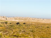 026-CapePointDrive