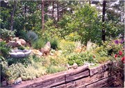 BonnBill_Home_Scans0014