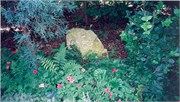 BonnBill_Home_Scans0019