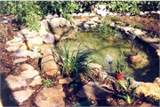 BonnBill_Home_Scans0025