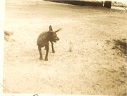 Barrow_Book5-0053