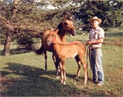 Barrow_Book5-0106