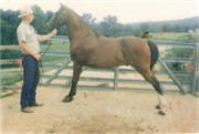 Barrow_Book5-0110