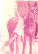 Barrow_Book6-0009