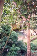 B-and-B_TravelPix0081